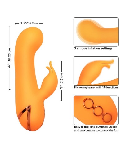 CALEXOTICS MONTECITO MUSE VIBRADOR RABBIT NARANJA BY CALIFORNIA DREAMING CALEXOTICS MONTECITO MUSE VIBRADOR RABBIT NARANJA BY CALIFORNIA DREAMING