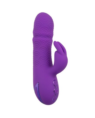 CALEXOTICS MANHATTAN BEACH MARVEL VIBRADOR RABBIT MORADO BY CALIFORNIA DREAMING CALEXOTICS MANHATTAN BEACH MARVEL VIBRADOR RABBIT MORADO BY CALIFORNIA DREAMING