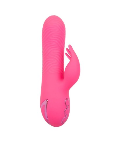 CALEXOTICS SACRAMENTO SWEETIE VIBRADOR RABBIT ROSA BY CALIFORNIA DREAMING CALEXOTICS SACRAMENTO SWEETIE VIBRADOR RABBIT ROSA BY CALIFORNIA DREAMING