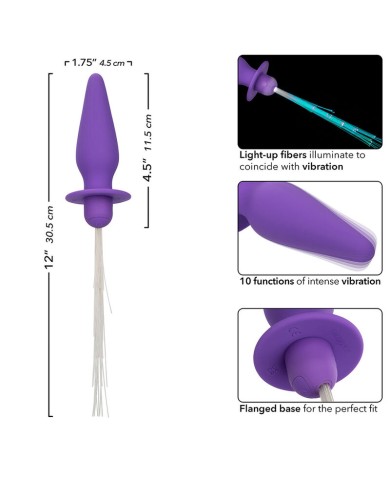 CALEXOTICS SOUTHERN LIGHTS LIGHT UP PLUG ANAL CON LUCES 10 VIBRACIONES SILICONA VIOLETA
