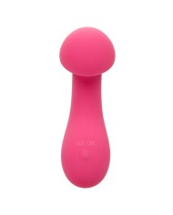 CALEXOTICS PIXIES EXCITER ROSA