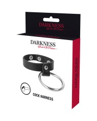 DARKNESS ANILLO DE METAL PARA EL PENE Y TESTICULOS
