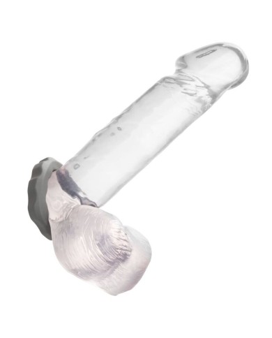 CALEXOTICS ALPHA ERECT RING GRIS