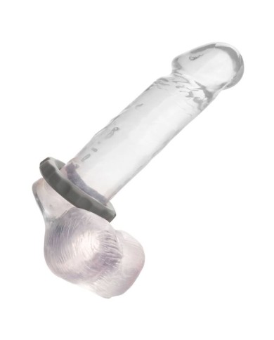 CALEXOTICS ALPHA ERECT RING GRIS