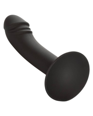 CALEXOTICS CURVED ANAL STUD