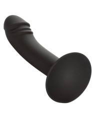 CALEXOTICS CURVED ANAL STUD