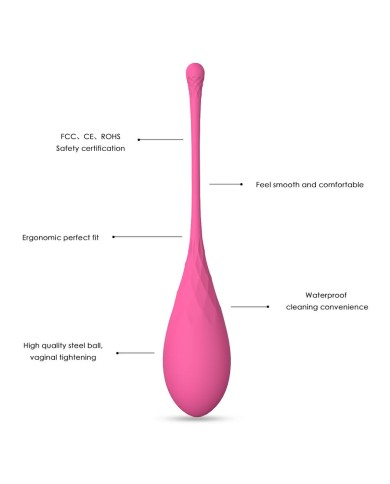 LESLIE KEGEL FIT ENTREGADOR SUELO PELVICO 6 PESOS