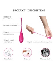 LESLIE KEGEL FIT ENTREGADOR SUELO PELVICO 6 PESOS