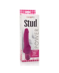 CALEXOTICS POWER STUD CLITERRIFIC VIBRADOR ROSA