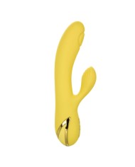 CALEXOTICS SAN DIEGO SEDUCTION