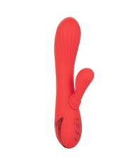 CALEXOTICS PALISADES PASSION RED
