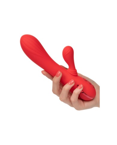 CALEXOTICS PALISADES PASSION RED