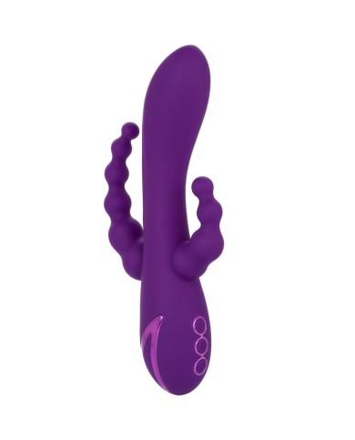 CALEXOTICS LONG BEACH BOOTYLICIOUS PURPLE