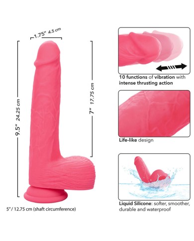 CALEXOTICS STUDS VIBRADOR REALISTICO 10 VIBRACIONES Y ROSA