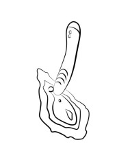 ROMP HYPE VIBRADOR PUNTO G MULTIFUNCION ROJO