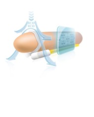 ANDROPENIS MINI EXTENSOR PENE