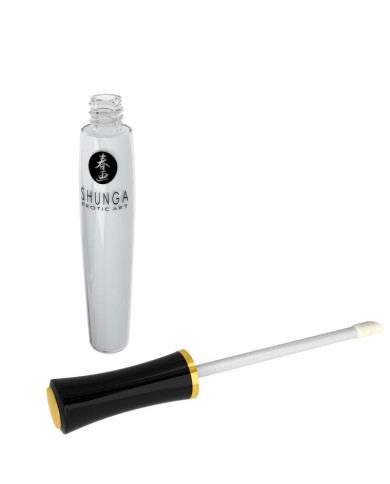 SHUNGA KIT COLECCION PLACERES CARNALES