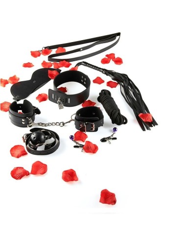 TOYJOY JUST FOR YOU BDSM STARTER KIT