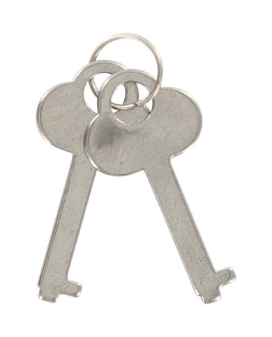TOYJOY ESPOSAS DE METAL