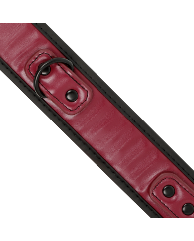 FETISH SUBMISSIVE DARK ROOM COLLAR CON CADENA CON FORRO DE NEOPRENO