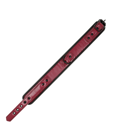 FETISH SUBMISSIVE DARK ROOM COLLAR CON CADENA CON FORRO DE NEOPRENO