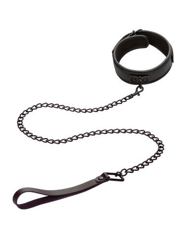 CALEXOTICS NOCTURNAL COLLAR Y CORREA CUERO AJUSTABLE NEGRO
