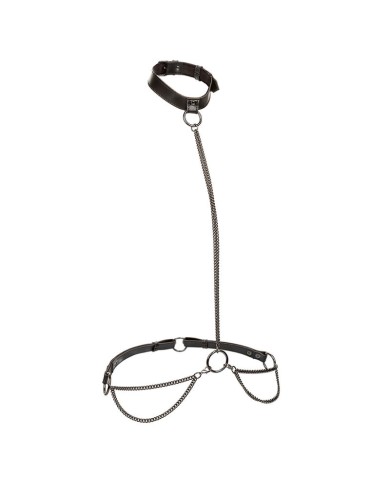 CALEXOTICS EUPHORIA COLLAR HALTER Y CORREA CON CADENA
