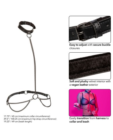 CALEXOTICS EUPHORIA COLLAR HALTER Y CORREA CON CADENA