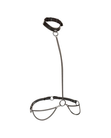 CALEXOTICS EUPHORIA COLLAR HALTER Y CORREA CON CADENA TALLA PLUS