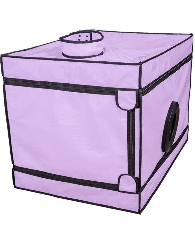 SECRET DOME KINK CLUB LA NICHE CABINA MORADO