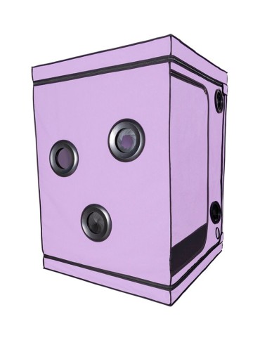 SECRET DOME KINK CLUB CABINA SCANDALE MORADO