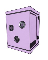 SECRET DOME KINK CLUB CABINA SCANDALE MORADO