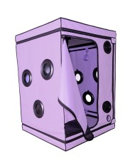 SECRET DOME KINK CLUB CABINA SCANDALE MORADO