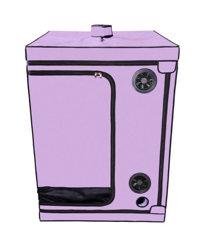 SECRET DOME KINK CLUB CABINA SCANDALE MORADO