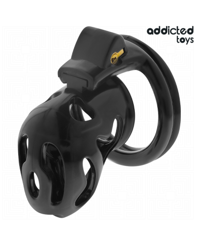 ADDICTED TOYS LOCKED SEALED CRYPT JAULA PARA PENE 8 CM