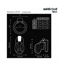 ADDICTED TOYS LOCKED SEALED CRYPT JAULA PARA PENE 8 CM
