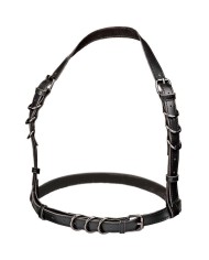 CALEXOTICS EUPHORIA ARNES HATLER CON HEBILLA TALLA GRANDE NEGRO