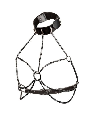 CALEXOTICS EUPHORIA ARNES DE CUELLO DE CADENA TALLA GRANDE