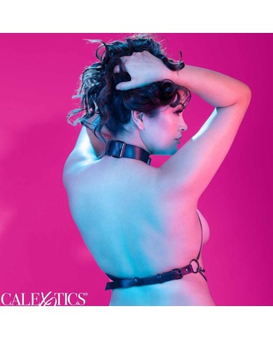 CALEXOTICS EUPHORIA ARNES DE CUELLO DE CADENA TALLA GRANDE
