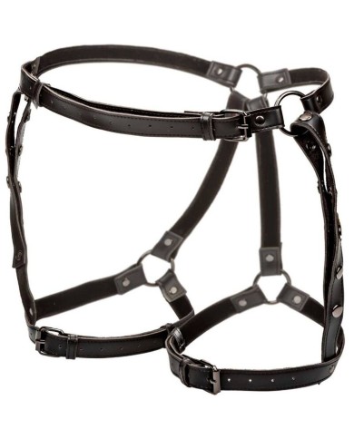 CALEXOTICS EUPHORIA ARNES DE MUSLO EQUITACION TALLA GRANDE
