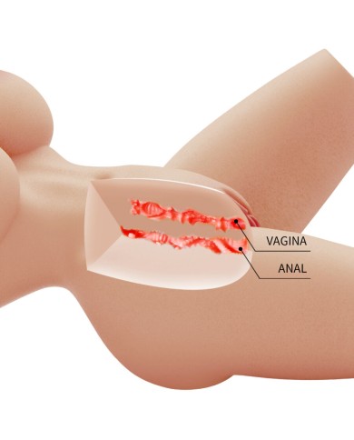 CRAZY BULL LILY TORSO FEMENINO REALISTA VAGINA Y ANAL 4 KG