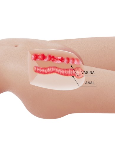 CRAZY BULL MIA TORSO FEMENINO REALISTA VAGINA Y ANAL 85 KG
