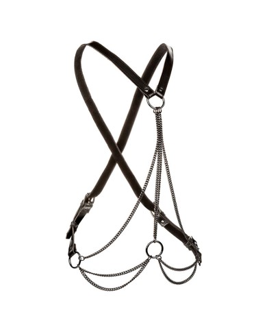 CALEXOTICS EUPHORIA ARNES DE MULTIPLES CADENAS PREMIUM