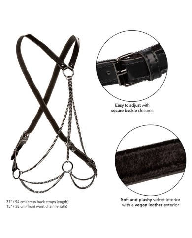 CALEXOTICS EUPHORIA ARNES DE MULTIPLES CADENAS PREMIUM
