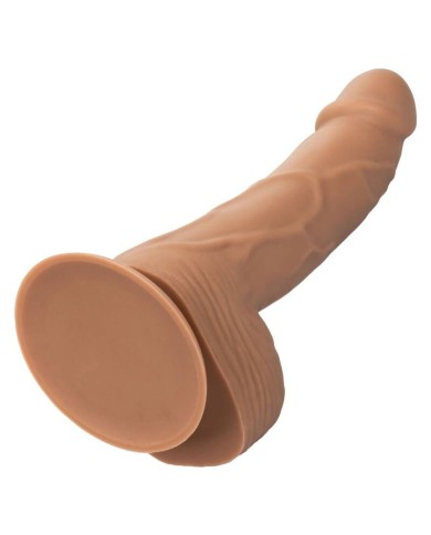 CALEXOTICS SILICONE STUDS 1524 CM BROWN CALEXOTICS SILICONE STUDS 1524 CM BROWN