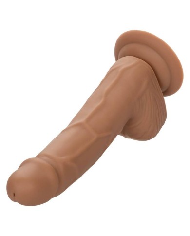 CALEXOTICS SILICONE STUDS 1524 CM BROWN CALEXOTICS SILICONE STUDS 1524 CM BROWN