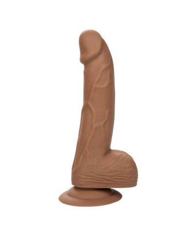 CALEXOTICS SILICONE STUDS 1524 CM BROWN CALEXOTICS SILICONE STUDS 1524 CM BROWN