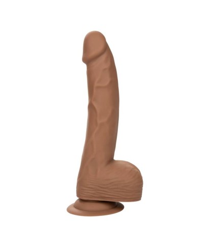 CALEXOTICS SILICONE STUDS 2032 CM BROWN CALEXOTICS SILICONE STUDS 2032 CM BROWN