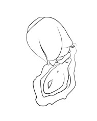 ROMP ROSE GLOW SUCCIONADOR DE CLITORIS BRILLANTE EN LA OSCURIDAD