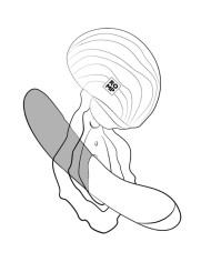 ROMP SPIN SUCCIONADOR DE CLITORIS APERTURA Y CIERRE GIRATORIO